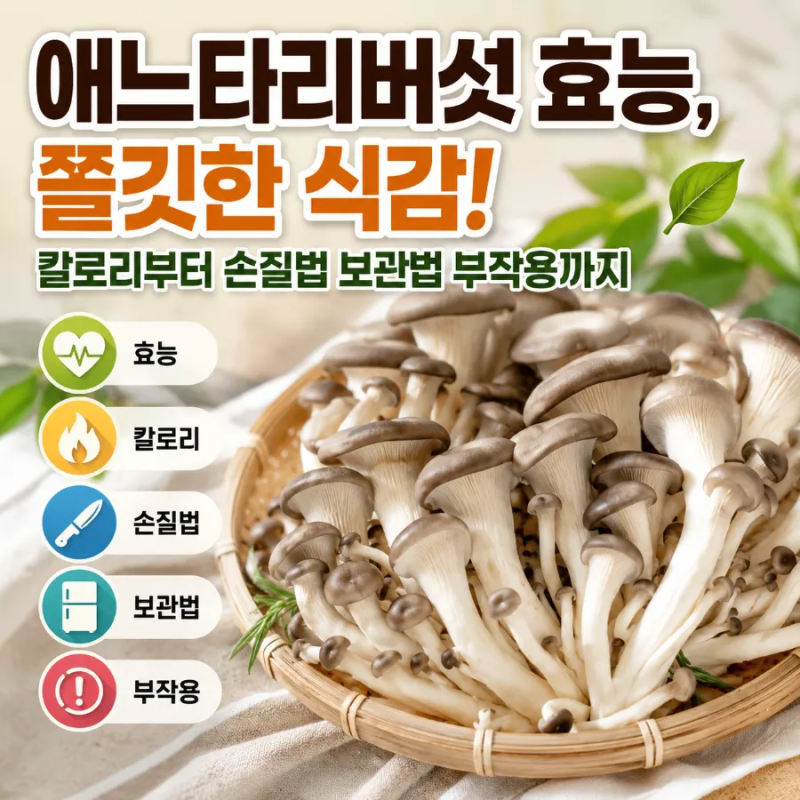 애느타리버섯 효능, 쫄깃한 식감! 칼로리부터 손질법 보관법 부작용까지