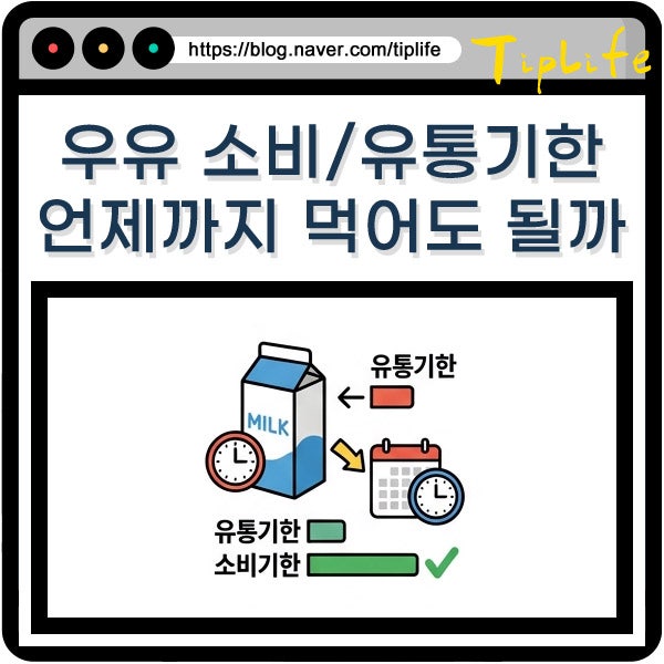 우유 소비기한 유통기한 차이 날짜 지난거 몇일까지 괜찮을까? 못먹을 때 활용법은?