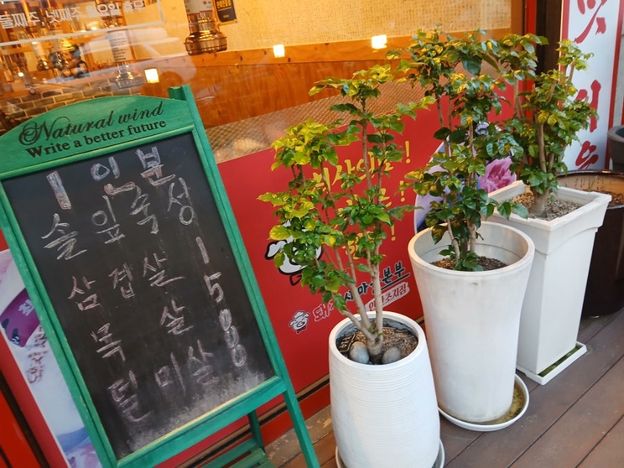 돼지 새마을본부 초지점 사진 2