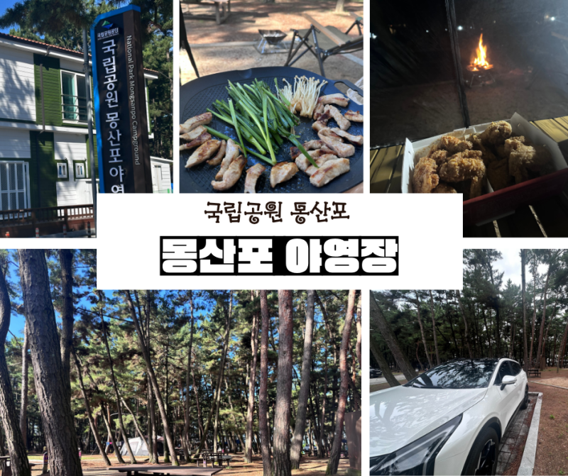 태안 몽산포 야영장 캠핑 후기｜소나무 숲 힐링 캠핑과 컬투치킨, 삼겹살 먹방