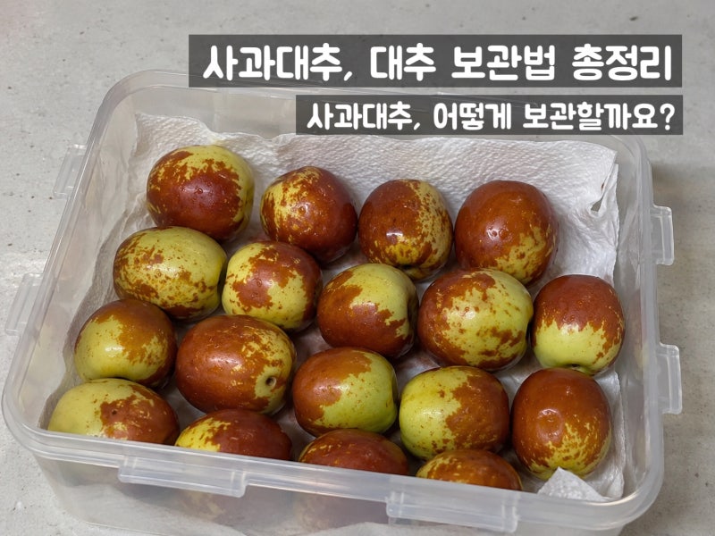 사과대추, 대추 보관법 총 정리 [냉장·냉동·말려서 오래 즐기는 방법]