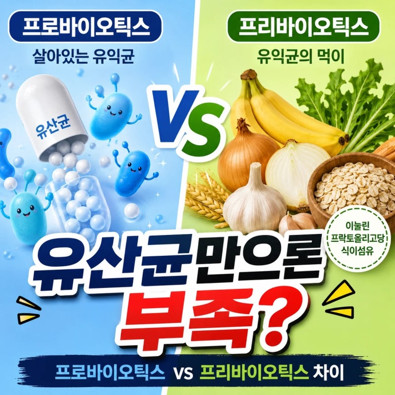 프로바이오틱스 프리바이오틱스 차이, 유산균 8개월 먹고 나서야 알게 된 것