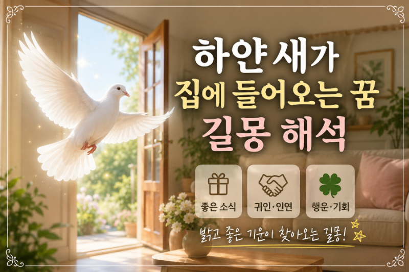 하얀 새가 집에 들어오는꿈 길몽 해석 궁금해!