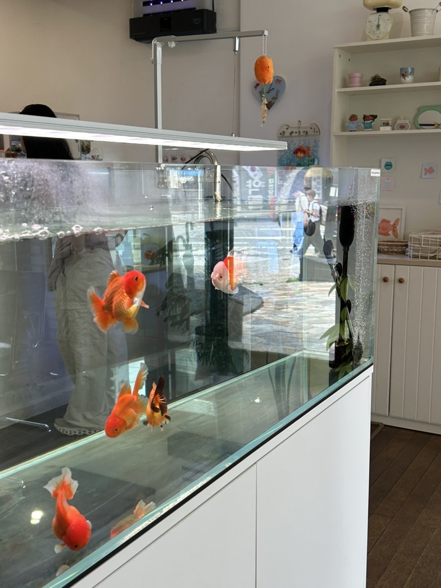 일렁임 사진 6