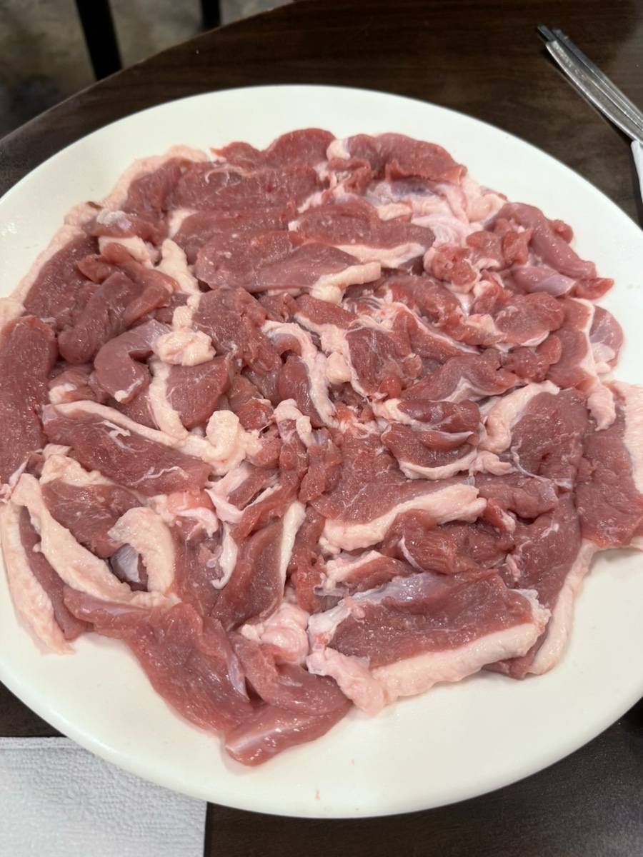 낙동생오리 사진 7