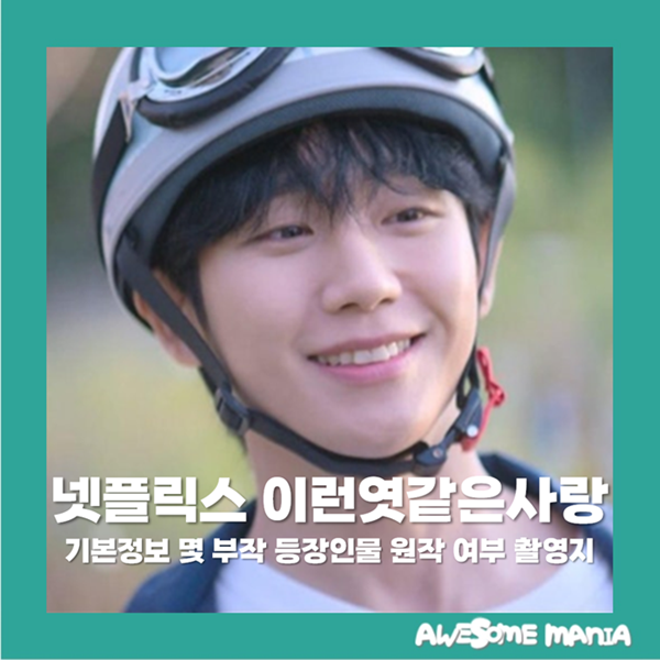 이런엿같은사랑 기본정보 몇 부작 등장인물 원작 여부 촬영지 정해인 넷플릭스 오리지널 한....