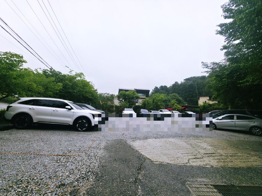 콩티 사진 4