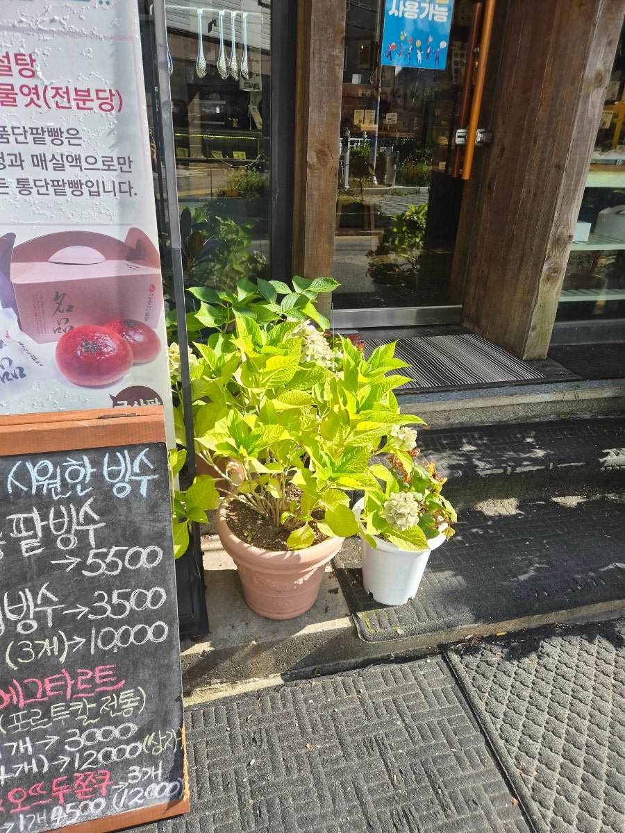 오뜨 사진 5