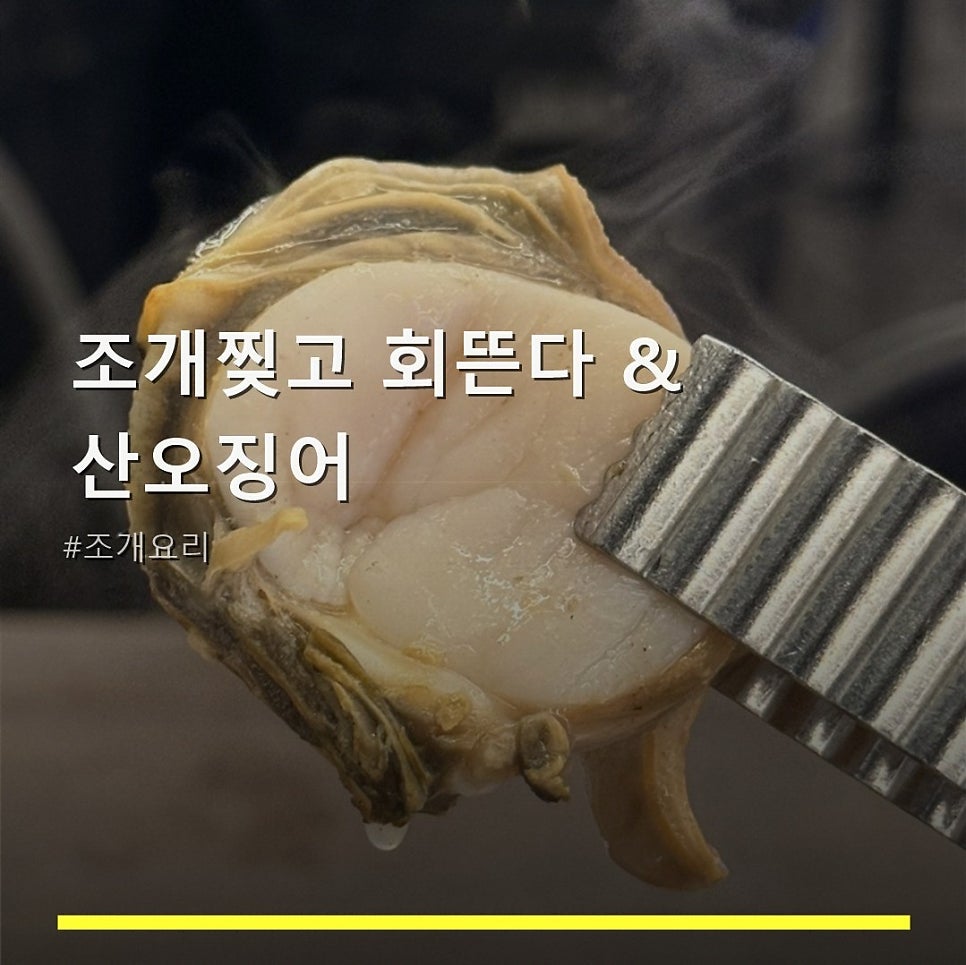 조개찢고회뜬다&산오징어 사진 1