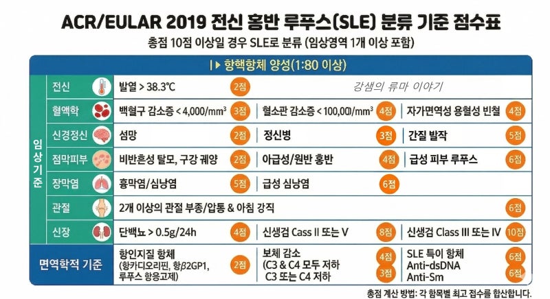 [루푸스 진단 1편] 퍼즐 맞추기와 같은 루푸스 진단 - 류마티스 전문의가 루푸스를 진단하는 ....