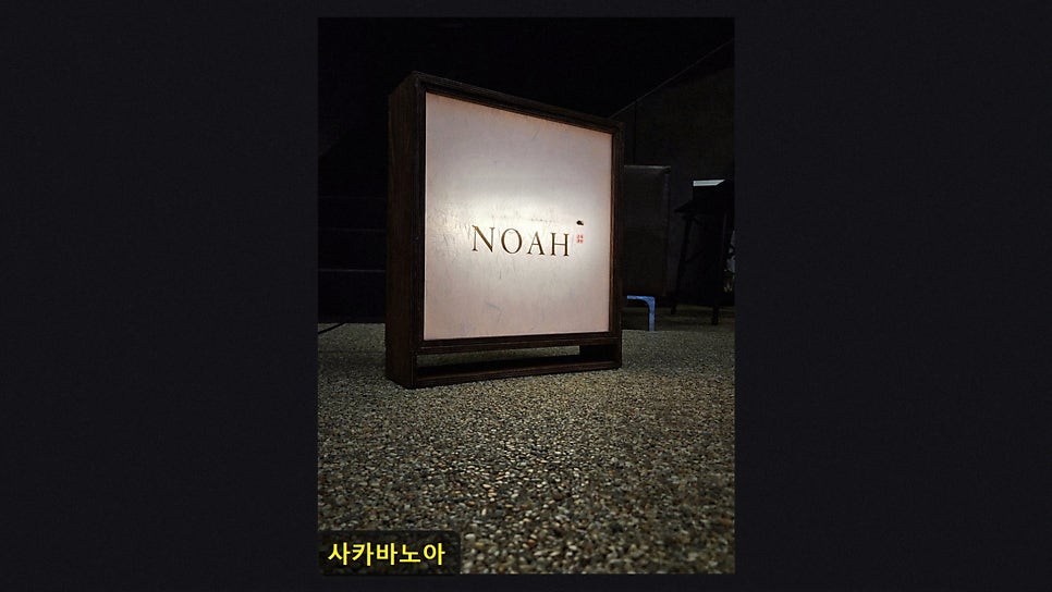 노아 사진 3