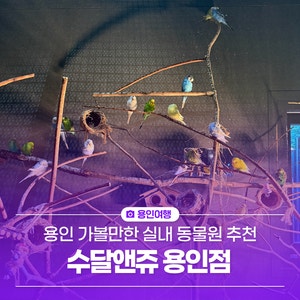 용인 가볼만한 곳 실내동물원 추천, 수달앤쥬 용인점 후기