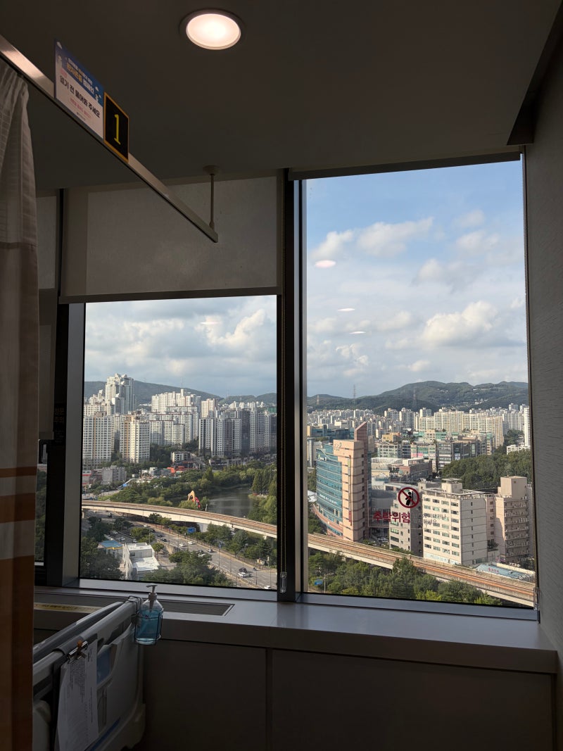 목디스크 수술 경추 C5,6번 인공디스크 치환술 후기