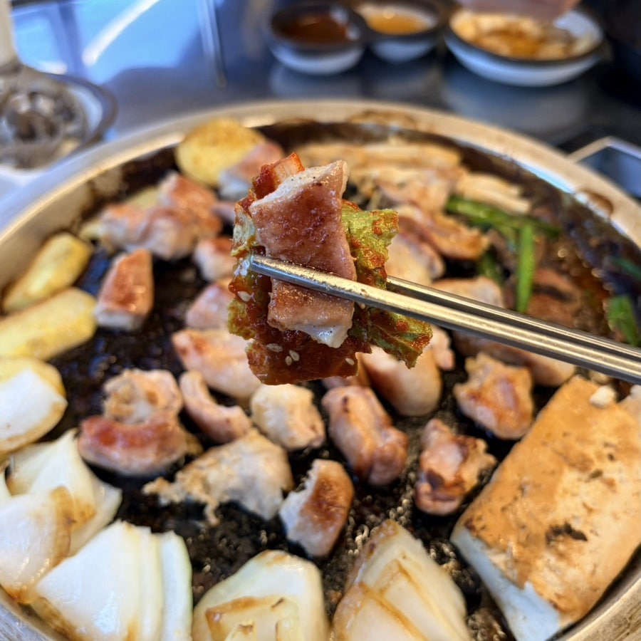 황소 사진 3