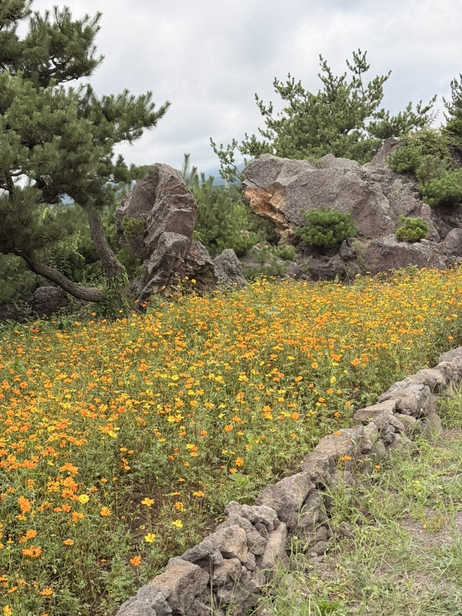 돌낭예술원 사진 6