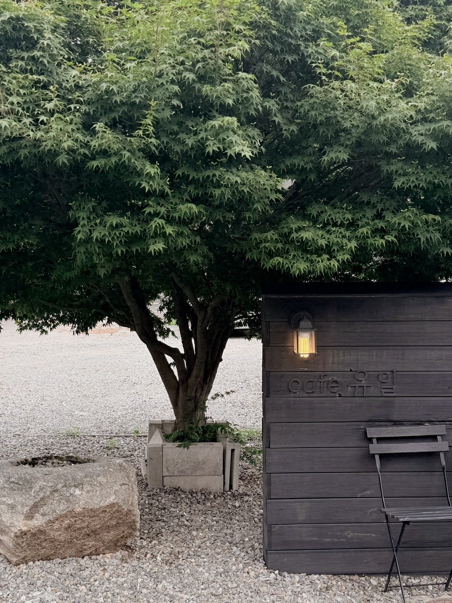 카페유일 사진 1