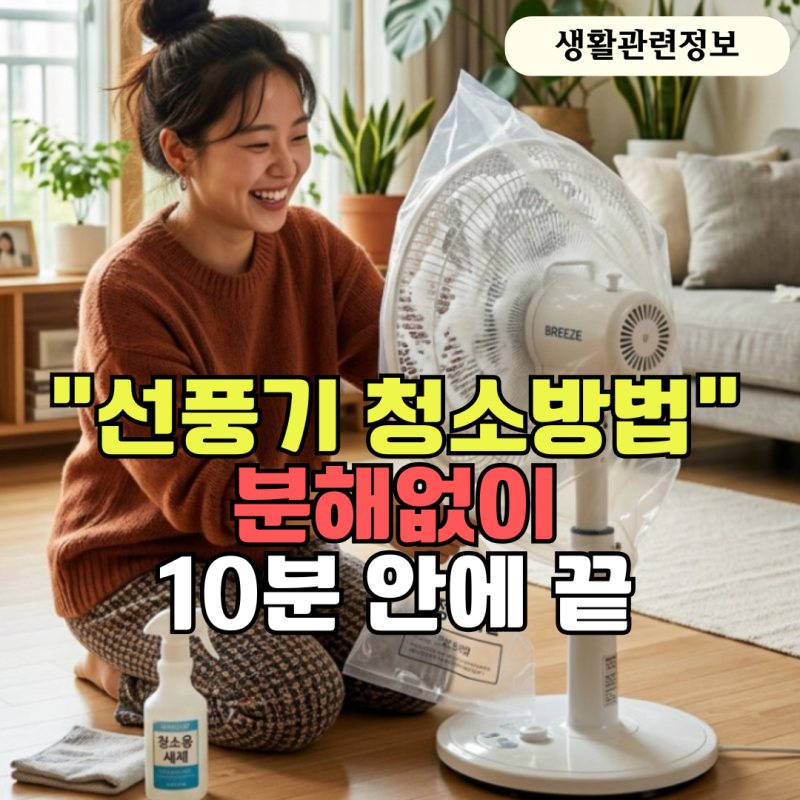 '선풍기 청소방법' 분해 없이 10분 만에 끝내는 꿀팁