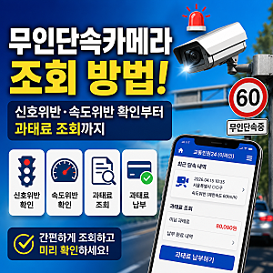 무인단속카메라 조회 방법! 신호위반·속도위반 확인부터 과태료 조회까지