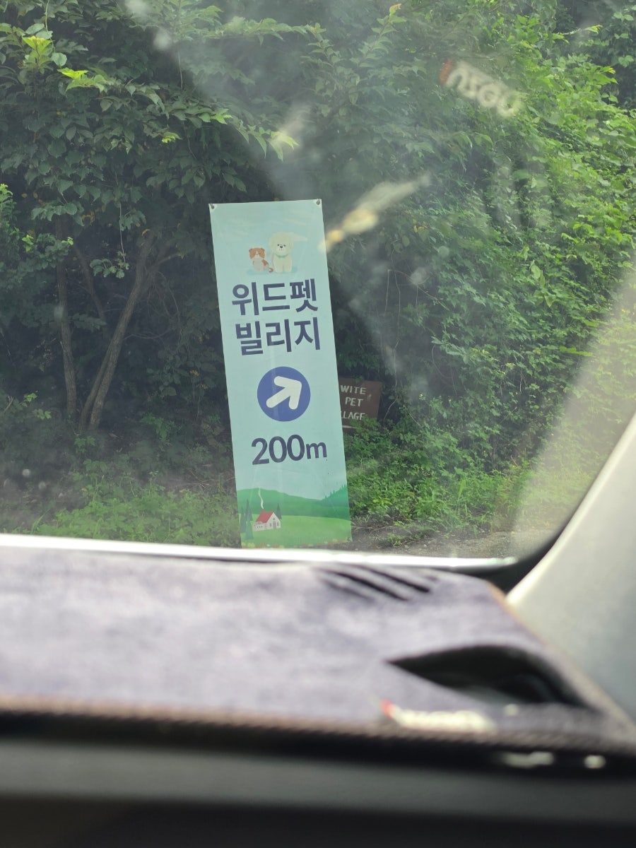 위드펫빌리지 사진 2