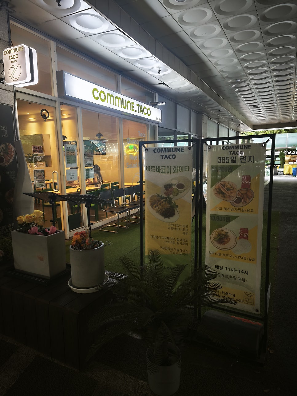 커뮨 타코 사진 3