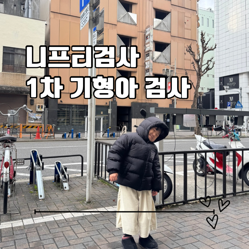 임신 초기 1차 기형아 검사 니프티검사 비용 시기 필수인가요