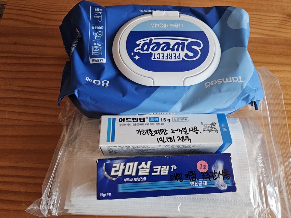 동강 사진 6