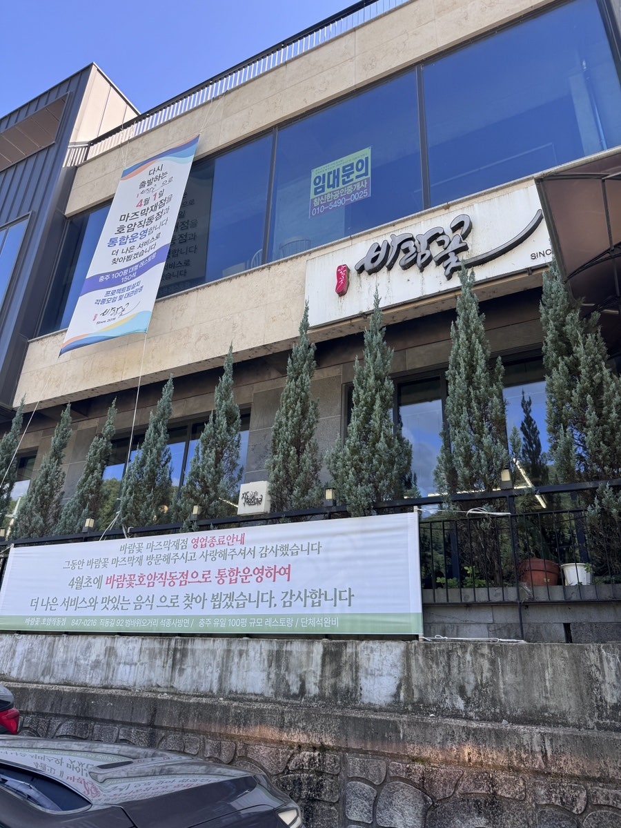 바람꽃 사진 2