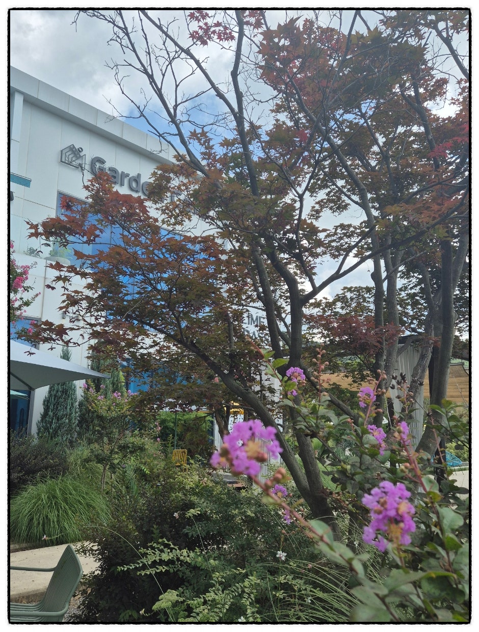 용인가든 사진 4