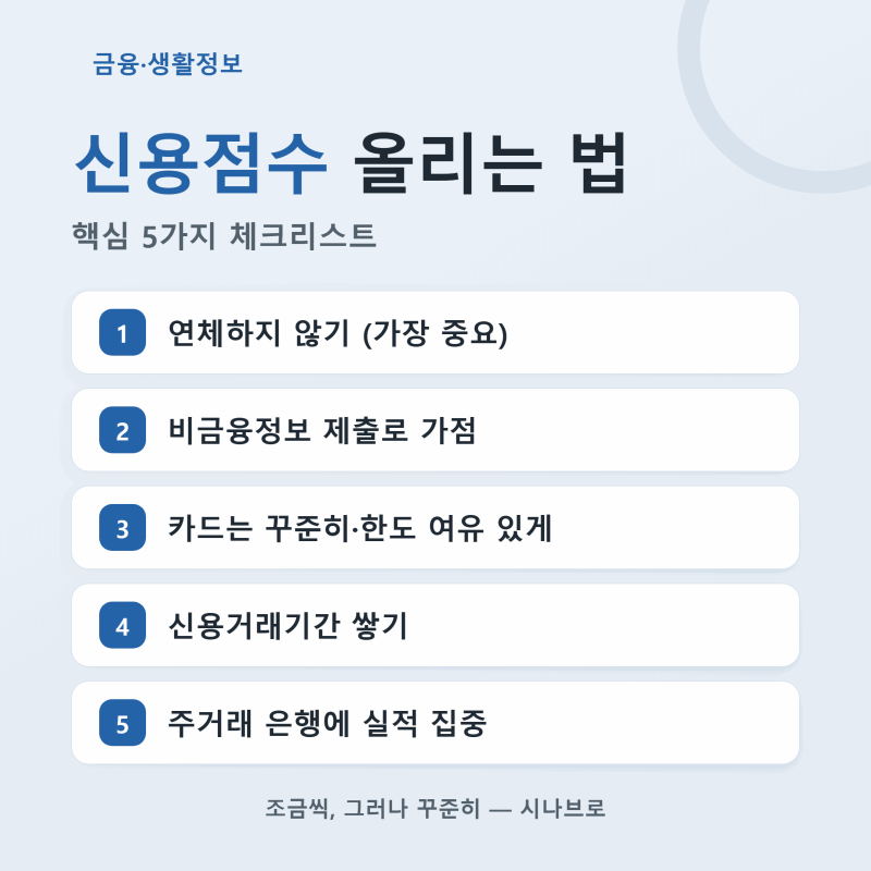 신용점수 올리는 법, 공식 기준과 오해 5가지 정리