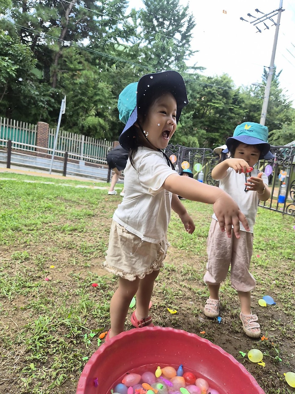 예그리나 사진 3