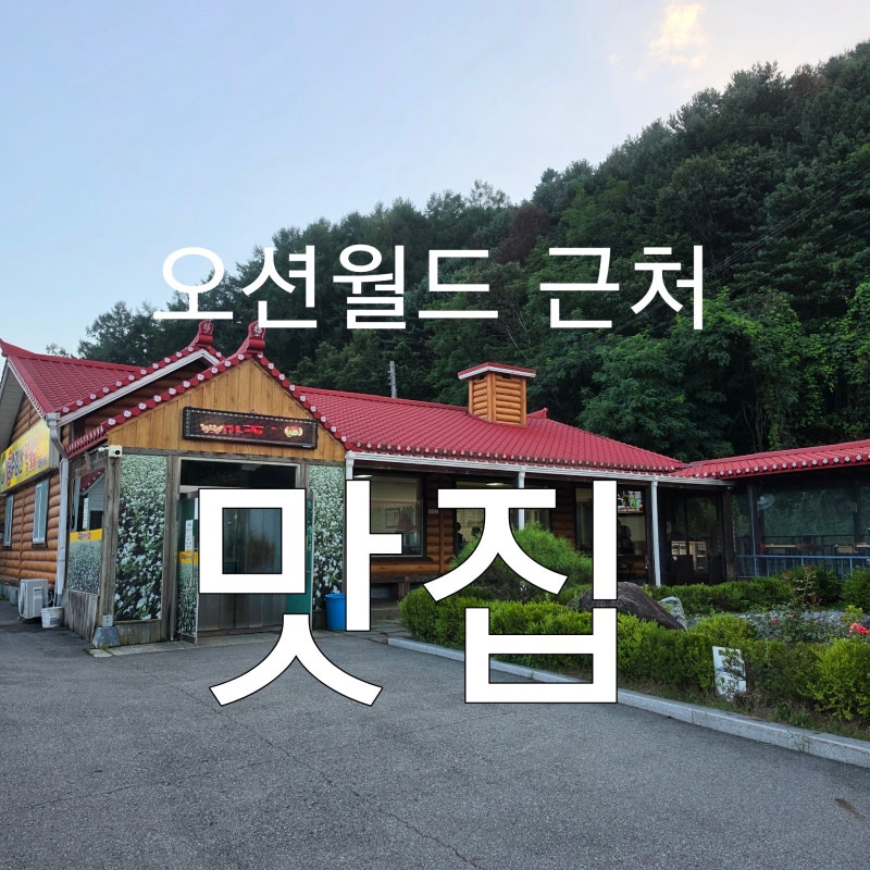 오션월드 근처 맛집| 홍천 비발디 파크 주변 메밀 막국수 추천