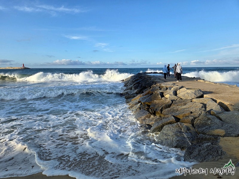 Essential Jumunjin Attractions in Gangneung! Enjoying Crab and Sashimi Restaurants Near the Fish Market