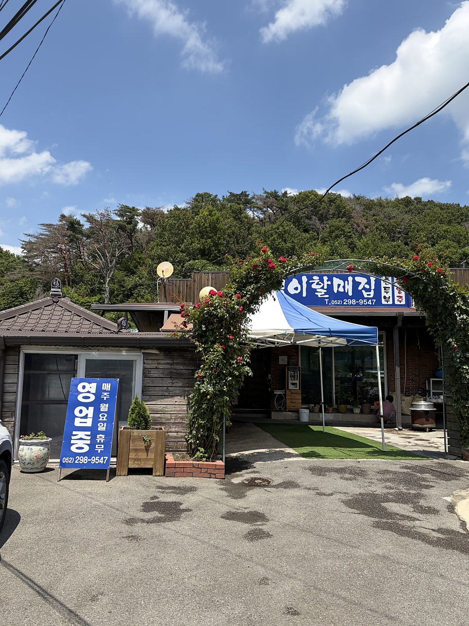 욕쟁이할매집 사진 1