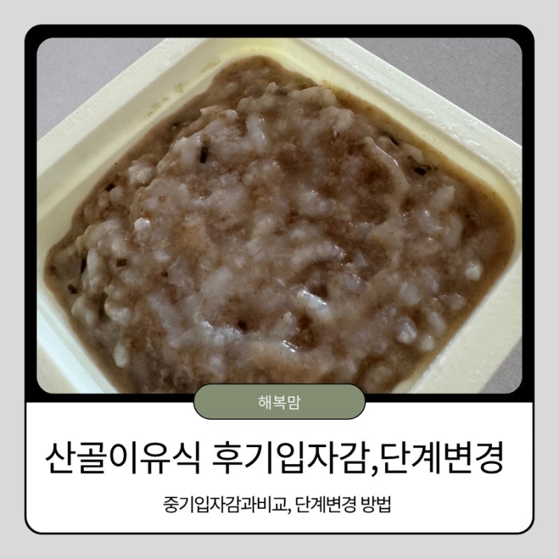 산골이유식 후기 정기배송 후기｜9개월 아기 후기입자감 먹여보고 다시 중기2로 단계변경