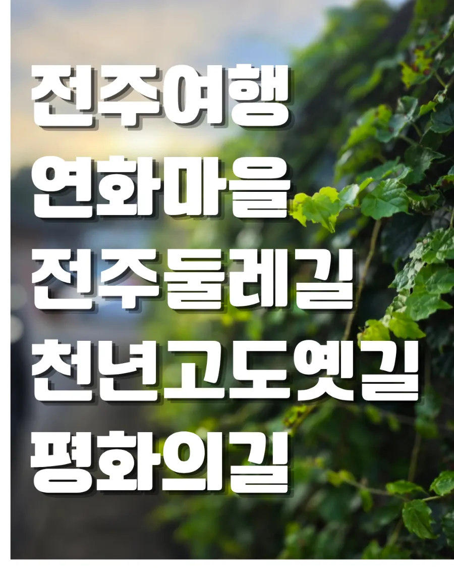 숲 사진 1
