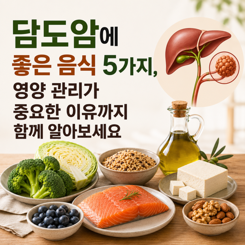 담도암에 좋은 음식 5가지, 영양 관리가 중요한 이유까지 함께 알아보세요