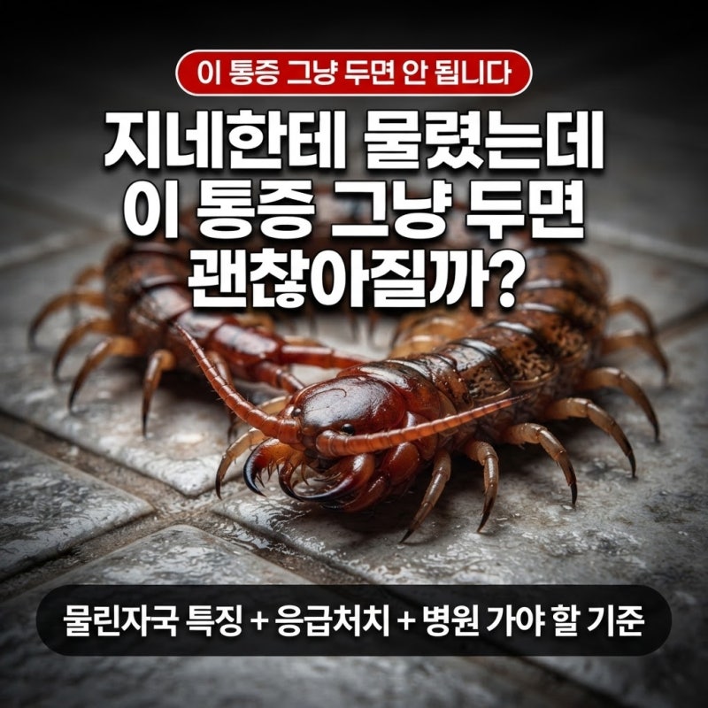 "지네한테 물렸는데" 이 통증 그냥 두면 괜찮아질까?