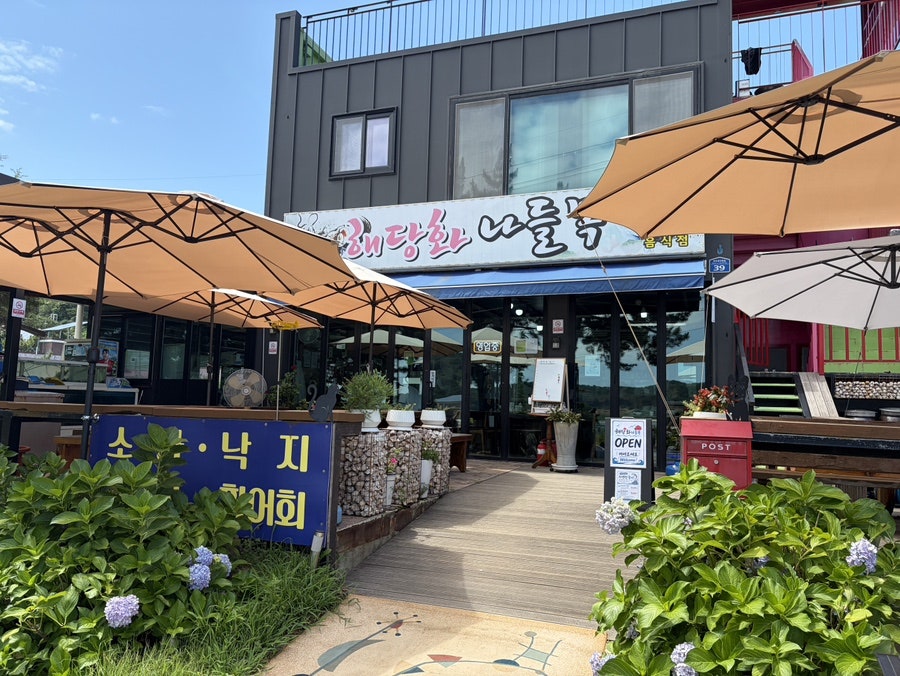 해당화 사진 3