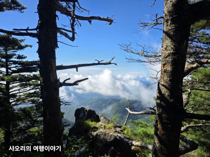 [등산일지]무박2일 지리산 천왕봉 백무동 원점회귀(뚜벅이 여행)