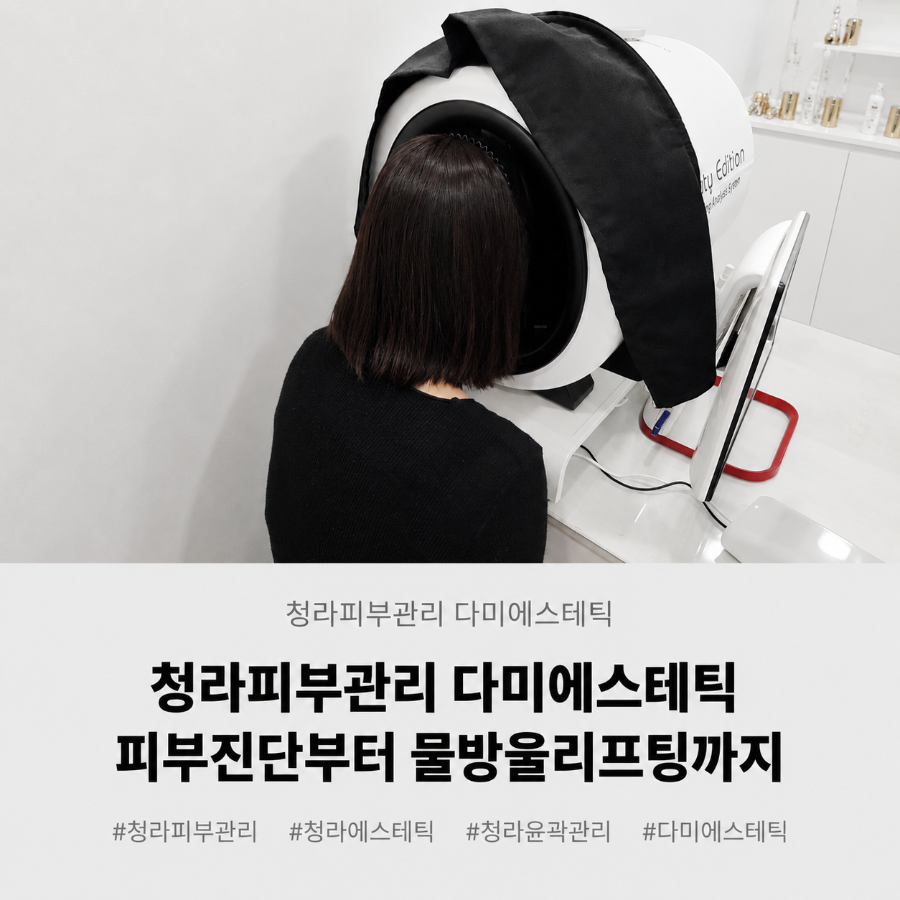 다미 사진 1