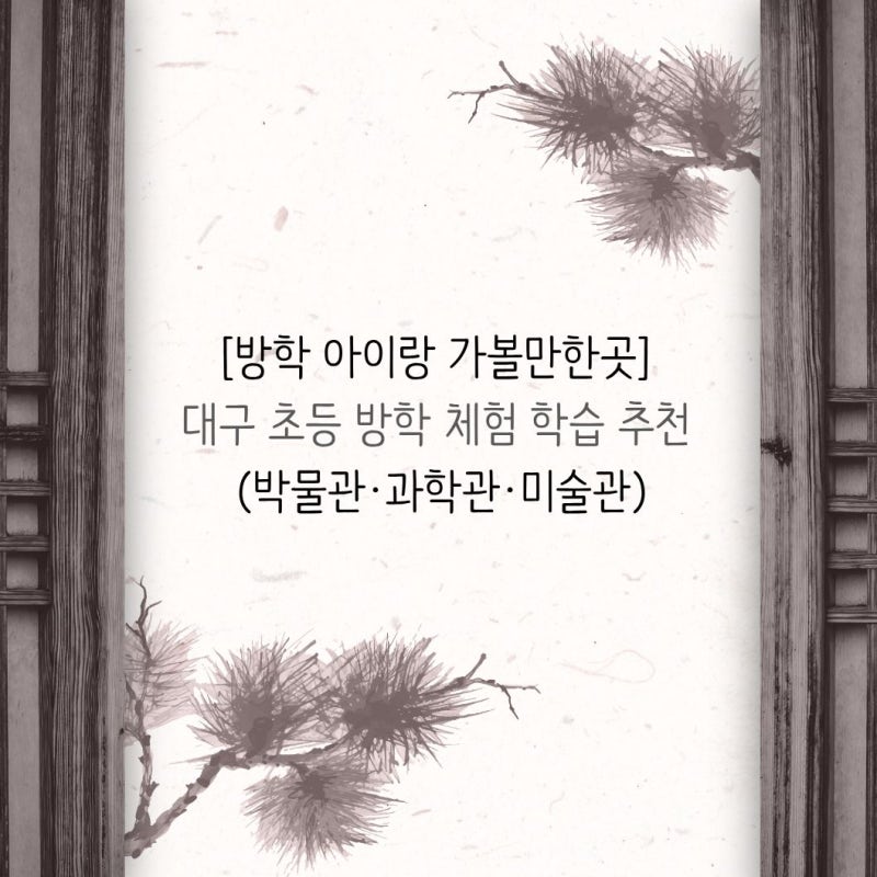 [방학 아이랑 가볼만한곳] 대구 초등 방학 체험 학습 추천 (박물관·과학관·미술관)