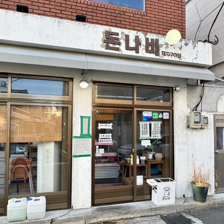 돈나비 사진 1