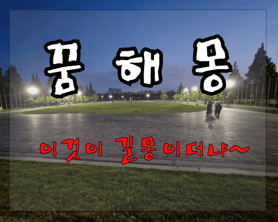 [꿈해몽] 돼지 산 꽃 연예인 피와 관련된 꿈, 길몽 풀이