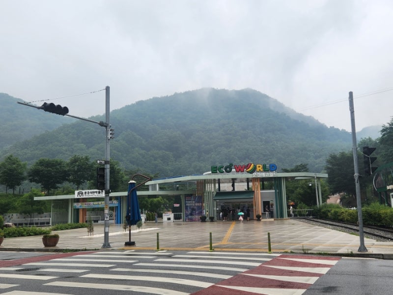 문경 에코월드 (입장료, 모노레일, 석탄박물관, 거미열차 등), 가은 송어장가든 (송어회 포장)