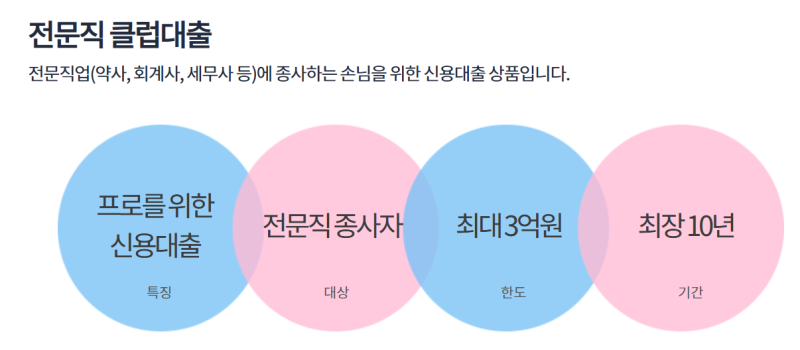 전문직 대출, 일반 신용대출보다 유리한 점(직업, 금리 이율 이자, 한도, dsr,규제)