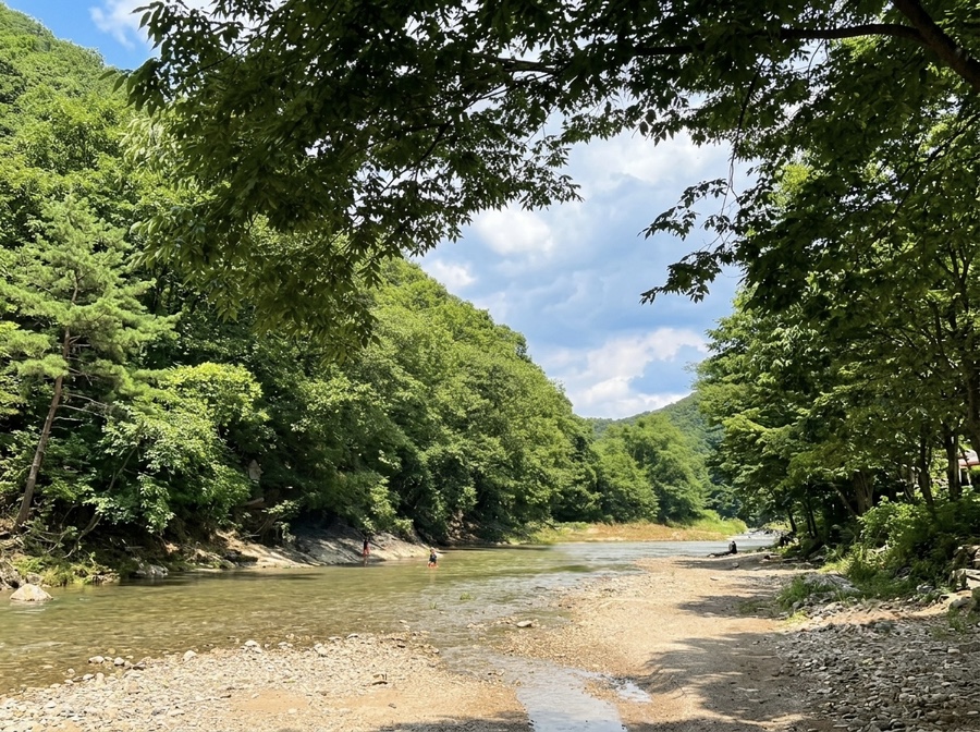 진달래동산 사진 6