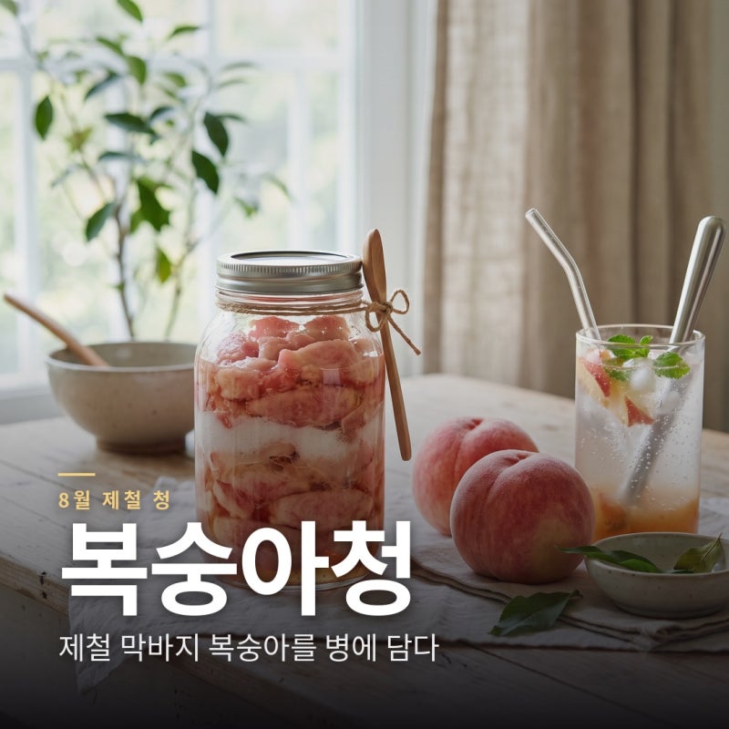 복숭아청 만드는 법 8월 딱복으로 담그는 달콤한 여름 저장 레시피