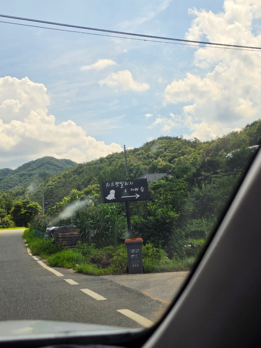 위드펫빌리지 사진 3