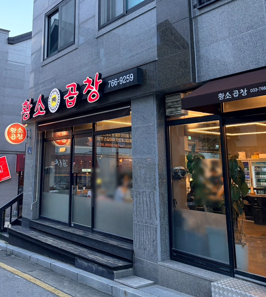 황소 사진 4