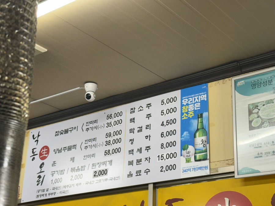 낙동생오리 사진 4
